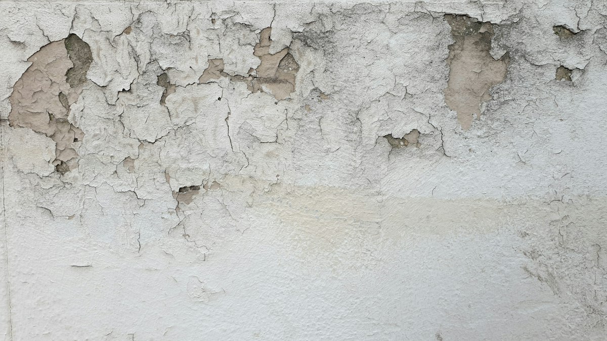 Feuchtigkeit und abblätternde Farbe an einer Wand